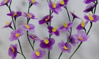 丝网花材料价格 丝网花材料价格