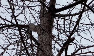 星光杳杳不如你 星光杳杳不如你