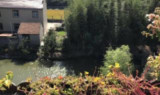 上海国际农展中心