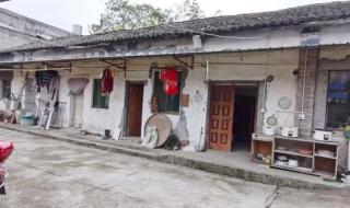 穿越嫁给山里多弟兄 穿越嫁给山里多弟兄