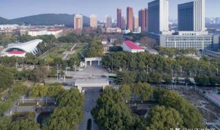 特招线是什么意思?