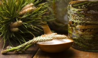 芽苗菜图片 芽苗菜图片