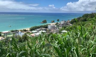 我想我是海 我想我是海