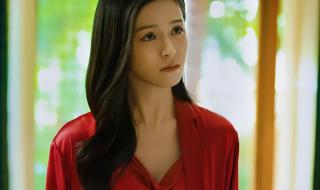 消失的她陈思诚 消失的她陈思诚