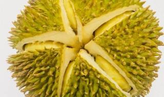 金枕和干尧哪一个好吃 金枕和干尧哪一个好吃