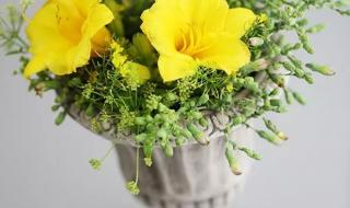 椿萱并茂是什么意思