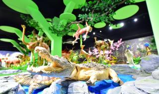 郑州黄河游览区门票 郑州黄河游览区门票