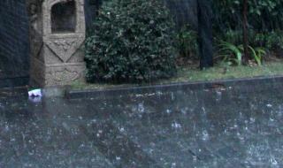 上海凌晨下冰雹了 上海凌晨下冰雹了